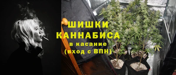 spice Арсеньев