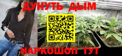 гашик Малгобек