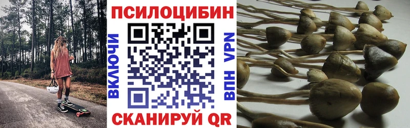 даркнет сайт  Гуково  Псилоцибиновые грибы Psilocybine cubensis 