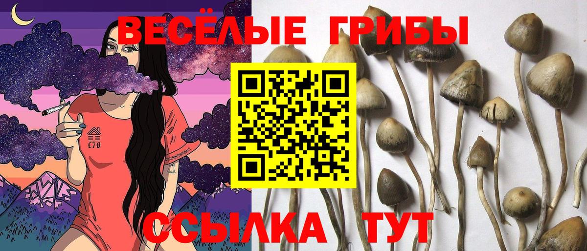 Галлюциногенные грибы мицелий  Вход с VPN  Псилоцибиновые грибы мухоморы  Гуково 