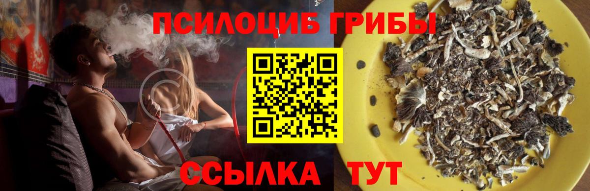 Галлюциногенные грибы прущие грибы Гуково
